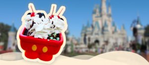 pia do mickey dicas uteis disney
