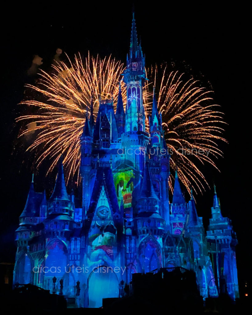 shows do Magic Kingdom happily ever after