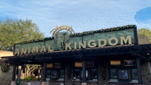atracoes concorridas animal kingdom
