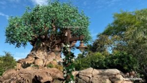 como-area-discovery-island-animal-kingdom-disney-arvore-da-vida-tree-of-life-destaque-dicas-uteis-disney