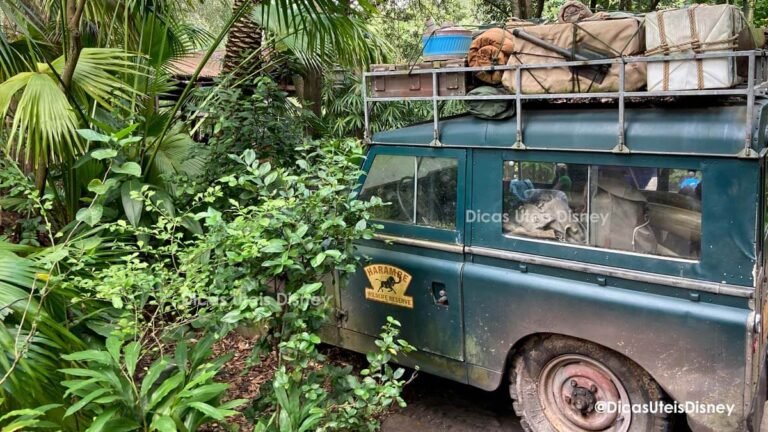 como-e-area-afria-animal-kingdom-destaque-dicas-uteis-disney