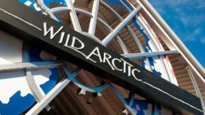 Como-e-area-ice-breaker-seaworld-atracao-wild-artic--destaque-dicas-uteis-disney