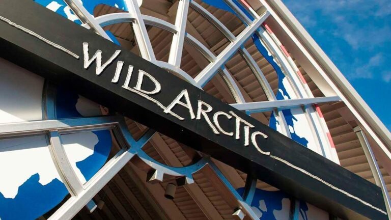 Como-e-area-ice-breaker-seaworld-atracao-wild-artic--destaque-dicas-uteis-disney