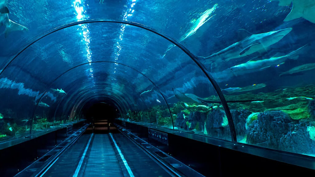 como-e-area-mako-seaworld-orlando-atracao-shark-encounter-aquario-uteis-disney