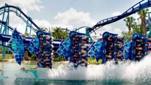 como-e-area-manta-seaworld-orlando-destaque-dicas-uteis-disney