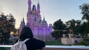 como-e-janeiro-em-orlando-parque-lotacao-destaque-dicas-uteis-disney