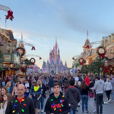 Disney-Magic-Kingdom-Dicas-Uteis-Disney-1