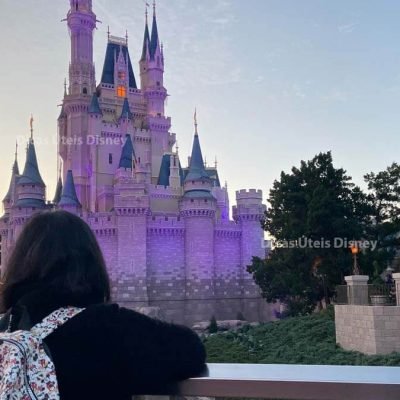 como-e-janeiro-em-orlando-parque-lotacao-destaque-dicas-uteis-disney